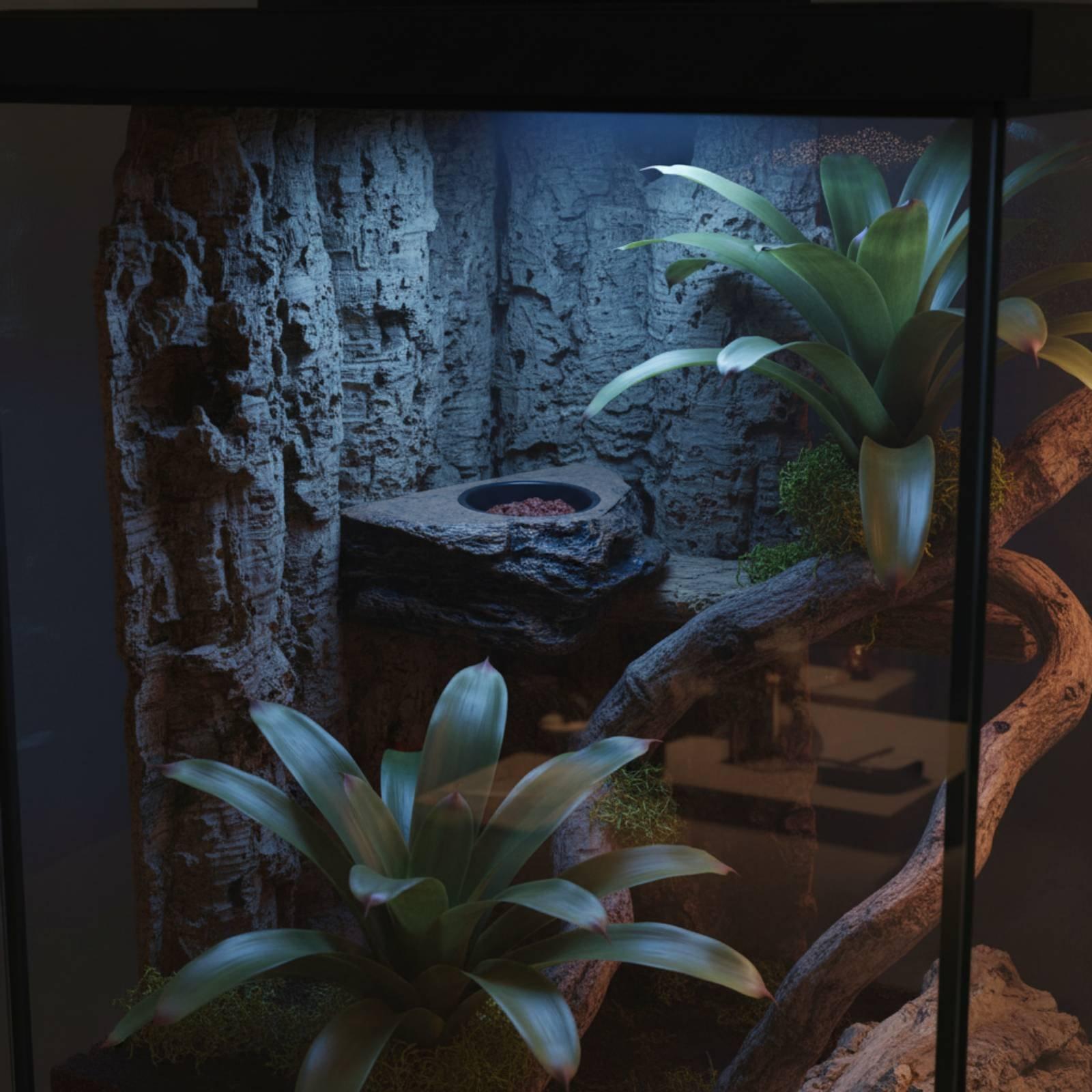 Water Dish Reptile - Mensola per cibo e acqua per