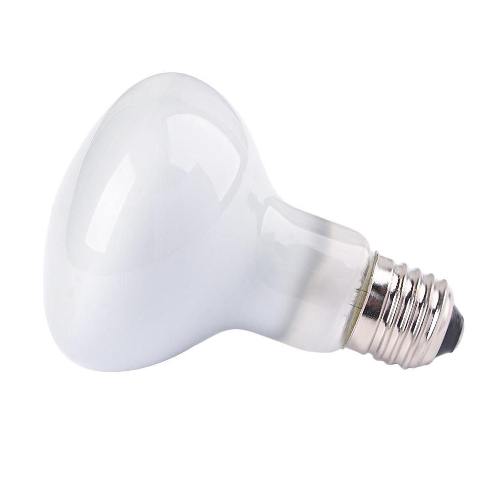Lampada Riscaldante per Rettil - Basking Bulb Halogen recensione e prezzo