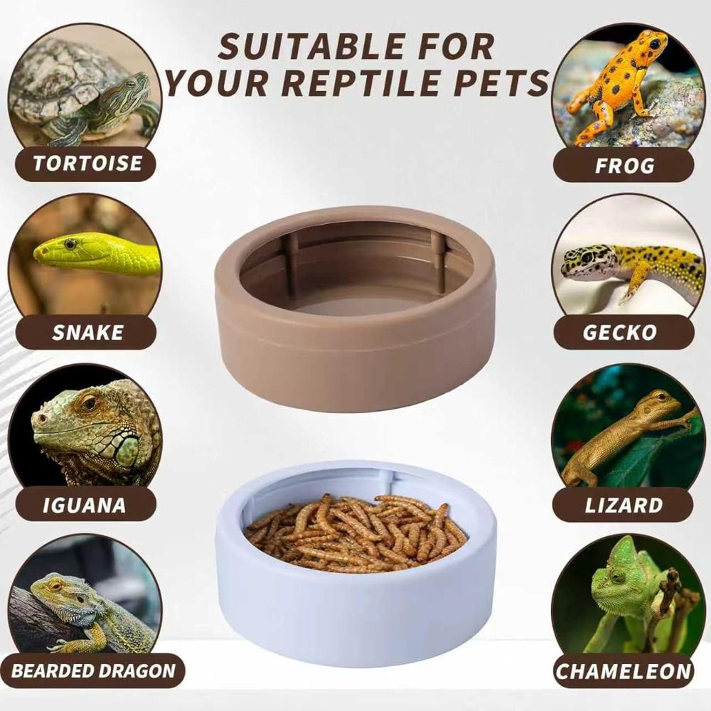 Ciotola Portatile Anti-Fuga pe - Water Dish Reptile recensione e prezzo
