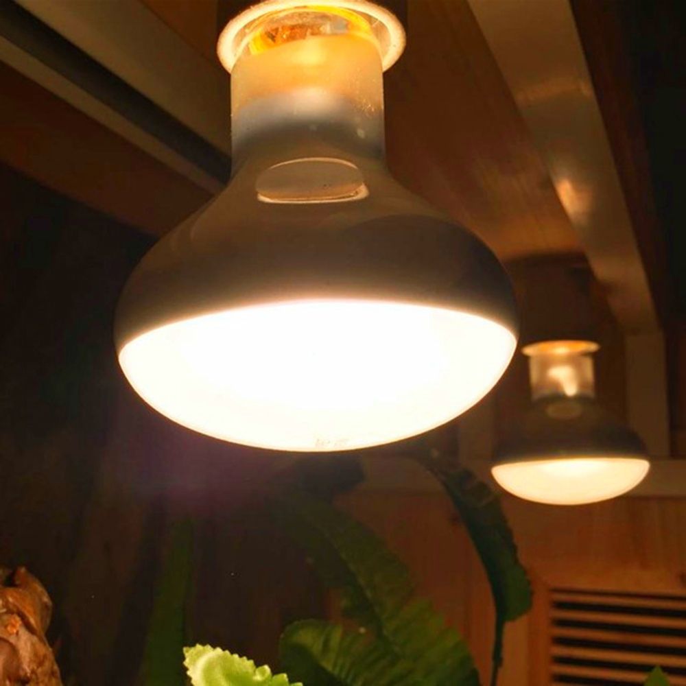 Regolatore di Temperatura per  - Basking Bulb Halogen recensione e prezzo