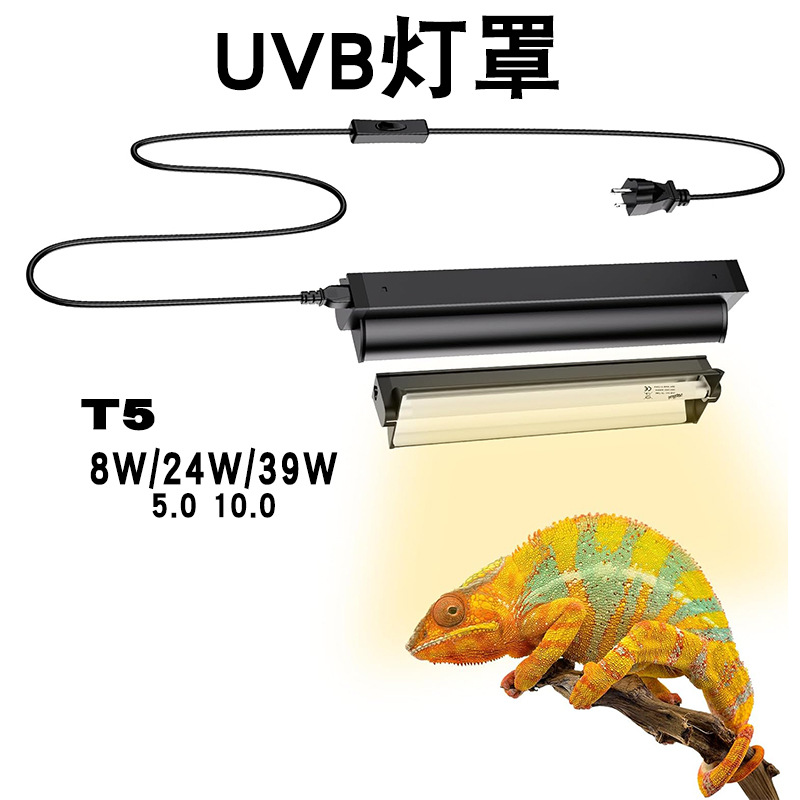 Kit Lampada UVB T5 con Support - Calcium Powder Reptile recensione e prezzo